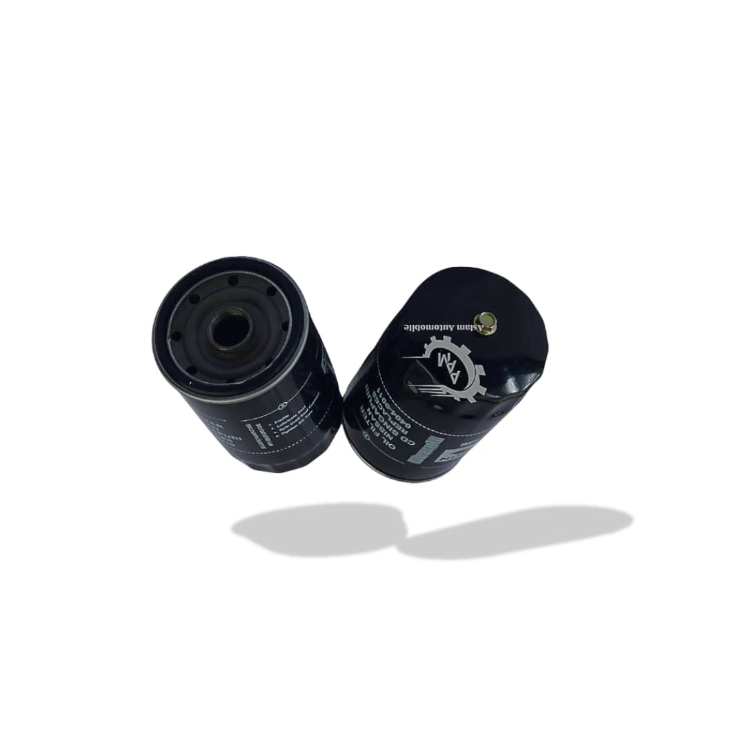 Oil Filter Nissan 15201 9010 9011 Set